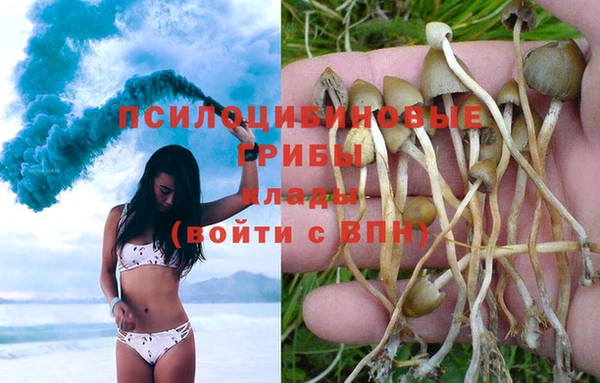дмт Алзамай