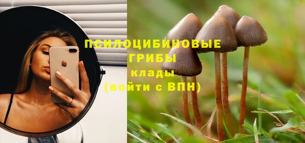 дмт Алзамай