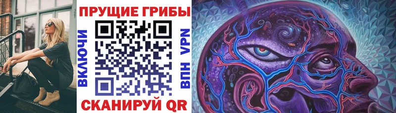 Псилоцибиновые грибы GOLDEN TEACHER  ОМГ ОМГ ТОР  Бийск 